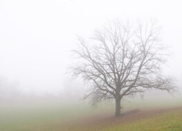 014 - tja irgendwann kommt die sonne
